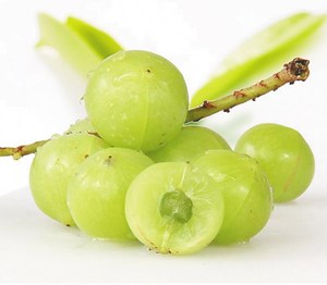 สารสกัดจากผลไม้บริสุทธิ์สารสกัดจาก Phyllanthus emblica - Product Image 3