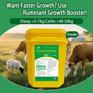 Stimulant de croissance pour ruminants, additif alimentaire à base de plantes chinoises, améliore la digestion des bovins et des ovins, favorise la prise de poids, prévient l'acidose - Product Image 2