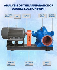 Pompes à double aspiration : débit élevé, stables et durables pour les systèmes d'eau industriels - Product Image 4