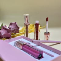 Ensemble de maquillage pour les lèvres 2 en 1, rouge à lèvres liquide et crayon à lèvres, ensemble de maquillage pour les lèvres en gros