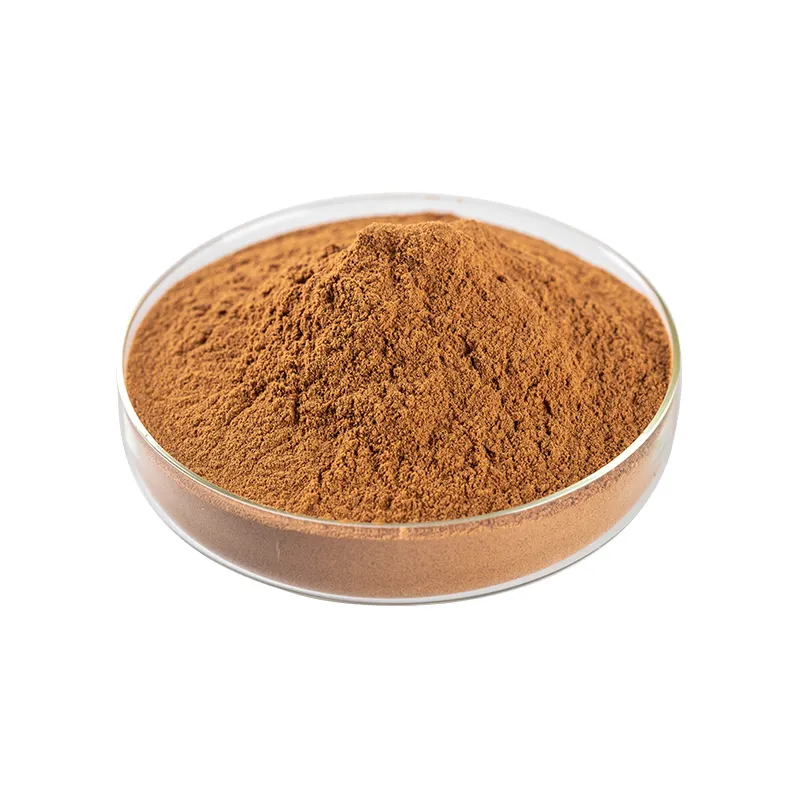 China Factory Price 10:1 Echinacea Extract Powder For Sale