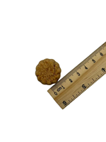 Friandises dentaires OEM pour chiens, saveur poulet, cuite à la four, haute qualité, riche en protéines, certifiées ISO22000, sans arôme artificiel, faciles à administrer