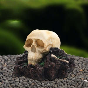 Caja de Plástico Cuadrada Ecológica de 1 Litro, Escondite Clásico con Forma de Calavera para Reptiles, Lagartos, Serpientes, Geckos, Tortugas, Peces, Accesorios para Acuarios - Product Image 3