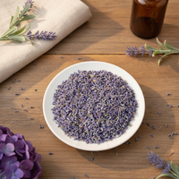 Xun Yi Cao Kuncup Lavender Kering Bebas Sulfur Bahan Alami Beraroma untuk Lilin Teh Lavender DIY Sachet Lavender
