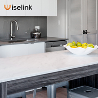 Wiselink 12mm d'épaisseur feuilles de pierre artificielle en acrylique modifié dalles de surface solide pour les comptoirs de cuisine et les murs