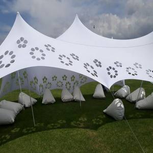 Grande tente de réception 650 g/m², revêtement PVC extensible unilatéral, taille personnalisée, tentes extensibles pour événements de mariage - Product Image 2