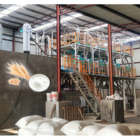 Usine de mouture de farine clé en main 50 TPD pour blé, maïs, riz, teff, atta et maida, avec machine de mouture automatique