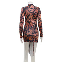 Robe mini pour femmes à imprimé tigre tendance estivale, col rond, manches longues, robe moulante à lacets