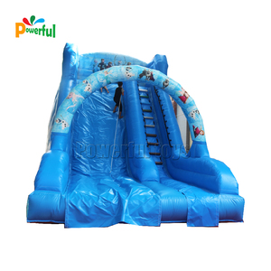 Vui Chơi Giải Trí Đông Lạnh Rơi Miễn Phí Elsa Inflatable Bouncer Với Trượt Nước Với Hồ Bơi Cho Trẻ Em Sân Chơi Trượt Nước Inflatable - Product Image 4