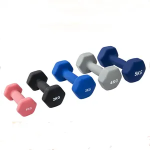 Shengde atacado peso personalizado kg para academia, peso fitness para exercícios, halteres de plástico de ferro fundido pequenos