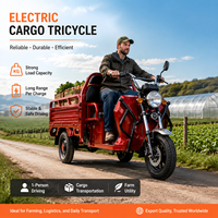 Tricycle électrique de transport KT-01 1200W, capacité de charge de 400 kg, pour le travail agricole en Europe, la livraison en ville et le transport vers les marchés