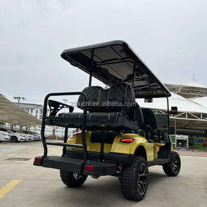 Golf Carts Gas Powered Gasoline 6 4 <strong>Seaters</strong> Luxury Vintage <strong>Car</strong> <strong>Electric</strong> Classic Enclosed Golf Cart - Product Image 6