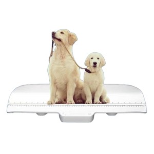 Báscula Digital Multifuncional Veidt VT-508 para Mascotas, Animales, Cocina y Alimentos, con Pantalla LCD y Bandeja de Plástico, OEM ODM - Product Image 4