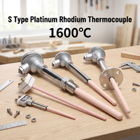 S Type Platinum Rhodium Thermocouple PtRh10 1600℃ High Temperature Sensor With 99% Ceramic Tube for Kiln Muffle Tube Furnace