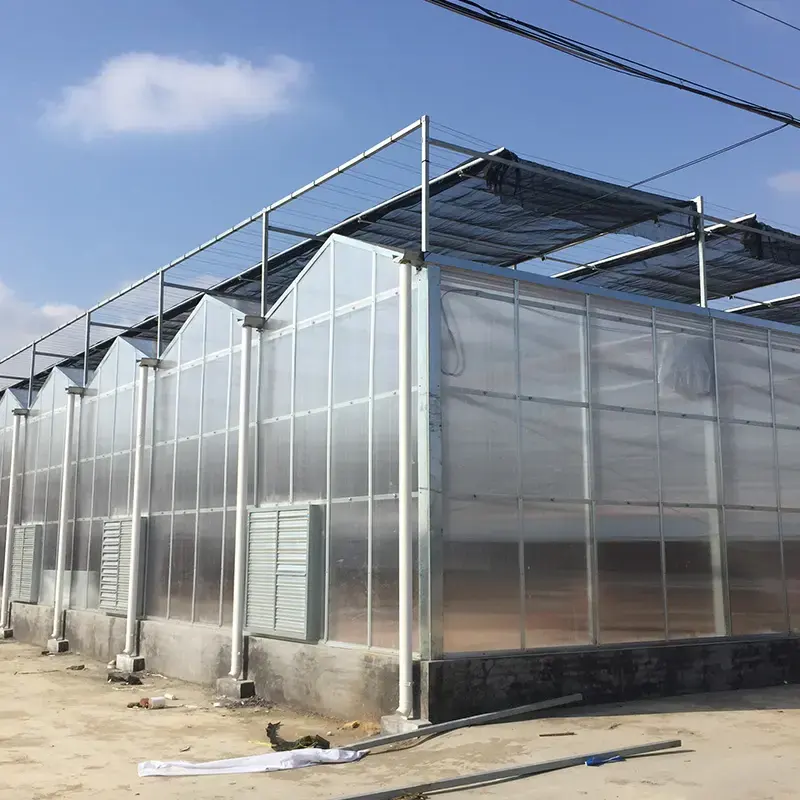 폴리 카보네이트 농업 수경 온실 비료 제어 시스템