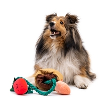 Jouet en corde de coton pour animaux de compagnie en pot, jouet de recherche et de cache-cache pour chien