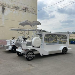 Cercueil funéraire personnalisé et élégant, véhicule de transport funéraire au design raffiné pour des services d'hommage final avec respect - Product Image 3