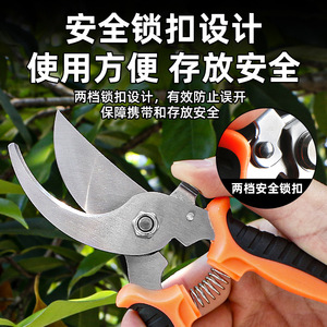 Garden Pruning Shears Stainless Steel Bypass <b>Pruner</b> 10-20 Mm Orange Handle For Fruit Tree Flower Trimming - Product Image 3
