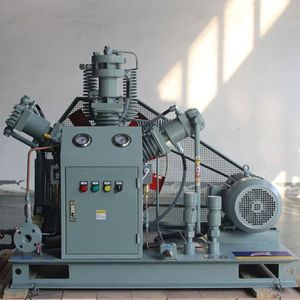 Pompe à oxygène de haute qualité avec entretien à vie, économique, 15 Mpa, compresseur d'air 12 V - Product Image 4