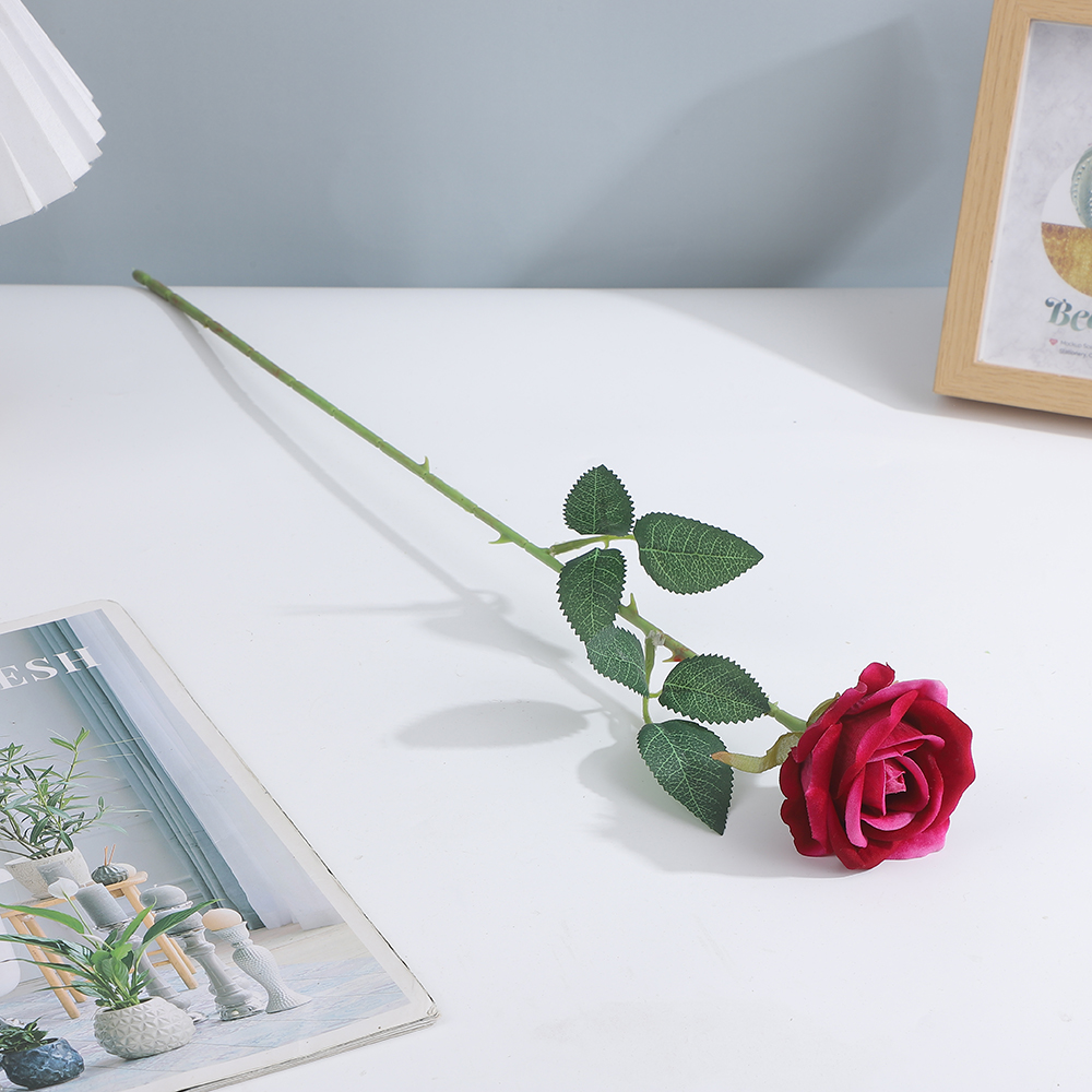 Rose garance