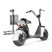 Motocicleta Eléctrica Plegable Inteligente, Resistente al Agua, con Neumáticos Anchos, 3000W/2000W, para Adultos, Ideal para el Mercado Australiano
