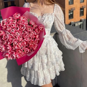 Abito da donna in Chiffon con stampa digitale a righe in poliestere con cerniera a collo quadrato a maniche lunghe cravatta-vita Chic stile <span class=keywords><strong>rococò</strong></span> Revival - Product Image 3