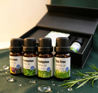 Collection d'huiles essentielles de sauge botanique premium, extrait pur de plantes, aromathérapie pour les marques de beauté et de bien-être, parfum d'ambiance pour la maison