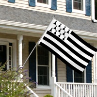 Drapeau de la Bretagne personnalisé OEM 90x150cm 3x5ft, bannière régionale française en polyester pour extérieur, noir et blanc, drapeau Gwenn Ha Du