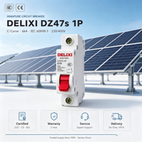 Interruptor Automático Miniatura Delixi 1P MCB para Riel DIN, 6kA 400V, Curva C, Protección Térmica Magnética para Sistemas Eléctricos Domésticos