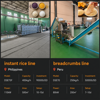 Nouvelle machine à riz artificiel à double vis électrique en acier inoxydable brillant, grande capacité, machine à fabriquer du riz enrichi, CE ISO