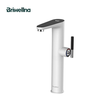 Chauffe-eau électrique instantané extérieur en plastique Briwellna 220V 3200W avec affichage LED de la température et chauffage rapide