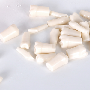 Modelo de Dientes Endodónticos Plegable de Resina ZZSU SD-5689, Tamaño Natural, para Entrenamiento Dental y Demostración de Cuidado del Paciente - Product Image 6