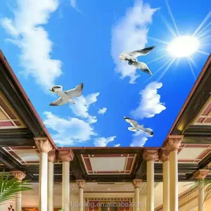 ZHIHAI Hot sale multi-purpose display 3d PVC sky ceiling advertising