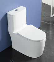Design moderne Articles sanitaires en céramique One Piece Toilette à double chasse S-Trap Drainage pour salle de bain Vente en gros d'usine