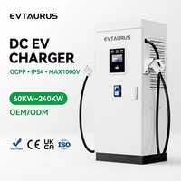 Cargador Comercial de 80KW 100kw 160kw, Cargadores Rápidos de Corriente Continua para Automóviles Eléctricos, Estándar CCS GBT Chademo, Garantía de 2 Años, Entrega Rápida