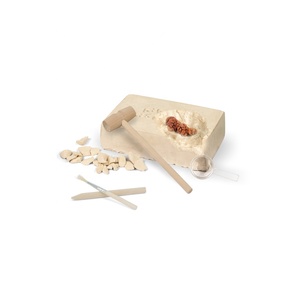 Kit <span class=keywords><strong>de</strong></span> excavación <span class=keywords><strong>de</strong></span> excrementos <span class=keywords><strong>de</strong></span> <span class=keywords><strong>dinosaurio</strong></span>, profesional personalizada etiqueta privada, Deluxe, venta al por mayor - Product Image 4