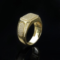 Bague de luxe pour homme style hip-hop avec pierres précieuses, plaqué or 14 carats, en alliage personnalisé, grand zircon, motif léopard, pour la mode urbaine