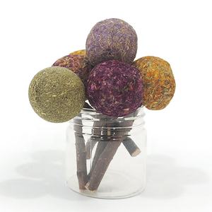 Aliments naturels pour animaux de compagnie pour lapin hamster cobaye bâtonnets molaires lapin jouets à mâcher collations cochon d'Inde bâtonnets de pomme nourriture pour lapin - Product Image 5