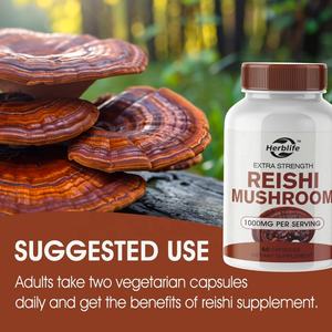 OEM ODM Vente chaude de compléments alimentaires à base de Ganoderma Lucidum, capsules d'extrait de champignon Reishi - Product Image 5