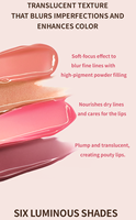 IMAGIC Gloss à lèvres longue tenue 6 teintes Effet miroir Repulpant Hydratant Laque à lèvres Lisse les ridules des lèvres Brillant Scintillant