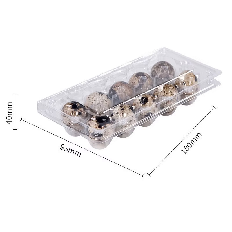 High Quality 15 20 Holes Quail
