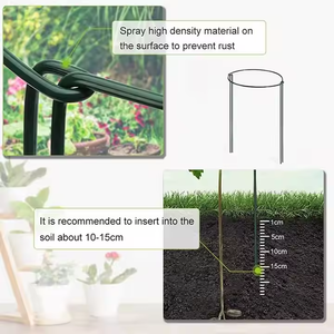 4 /8 PCS <span class=keywords><strong>Support</strong></span> pour <span class=keywords><strong>plantes</strong></span> Pile Demi-rond Anneau Piquet Extérieur Jardin Fleur Vigne Métal Escalade <span class=keywords><strong>Support</strong></span> Légumes Tige Fixe Rack - Product Image 4