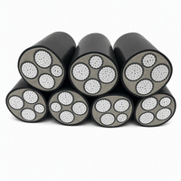 Câble d'alimentation YJLV22- 0.6/1kV 3*95+2*50 à conducteurs en aluminium, isolation XLPE, gaine en PVC, blindage en ruban d'acier, pour installation directe en terre
