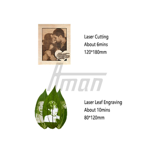 Mini graveur Laser Intelligent à double lumière Applicable bois caoutchouc contreplaqué MDF Raycus Reci semi-conducteur Source Laser refroidissement par Air - Product Image 5