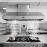 Penghisap Asap Dapur Sederhana Model Tempel Dinding Bahan Stainless Steel dengan Ventilasi Langsung 110V dan Filter Baffle untuk Restoran