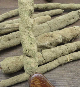 Éponge d'eau douce séchée, herbe médicinale chinoise, provenant de Spongilla Fragills Leidy, à vendre - Product Image 3