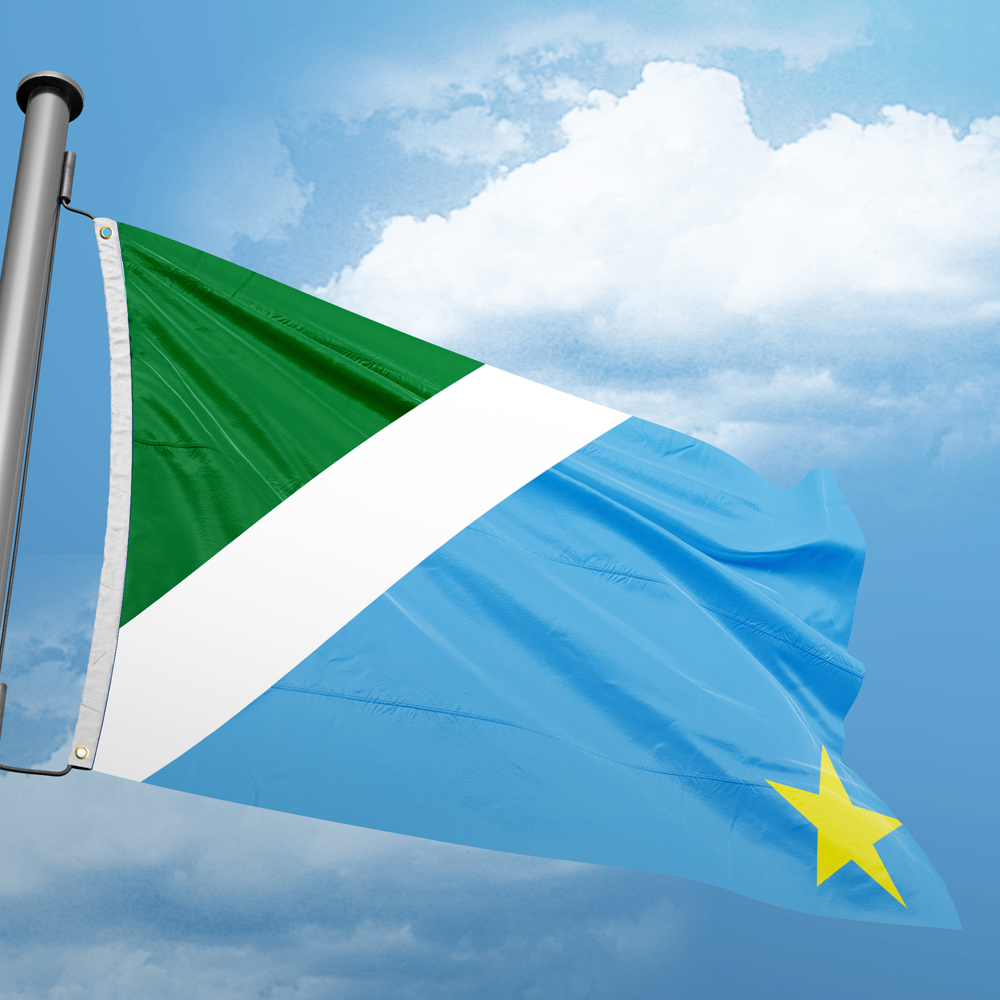 Bandiera dello Stato del Brasile Mato Grosso Do Sul