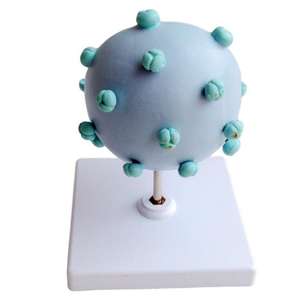 Modelo Anatómico Ampliado <span class=keywords><strong>del</strong></span> Virus <span class=keywords><strong>del</strong></span> VIH, Material Didáctico Médico de PVC para Aulas de Biología y Demostraciones en Exposiciones Científicas - Product Image 2
