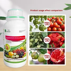 حمض الهيوميك الحبيبي {كنز الفاكهة المتفتحة والمُحلاة والمُغير للون} لتعزيز التلقيح وتسريع النضج المبكر - Product Image 2