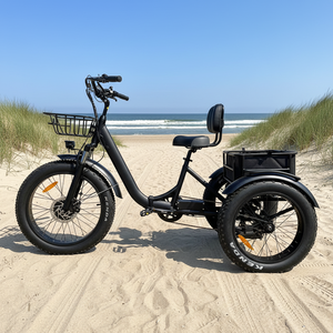 Vélo cargo électrique à trois roues avec pneus larges et freins à disque pour la <span class=keywords><strong>livraison</strong></span> de pizzas en gros - Product Image 4